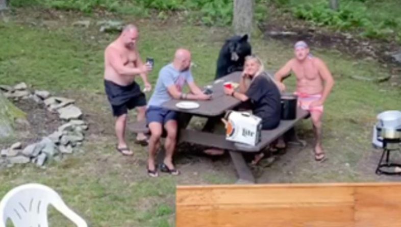 Локальные новости: На вирусном видео к семейному пикнику присоединился вышедший из леса медведь