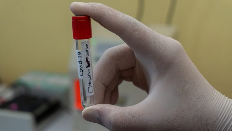 Здоровье: Американские ученые нашли белок, нейтрализующий коронавирус