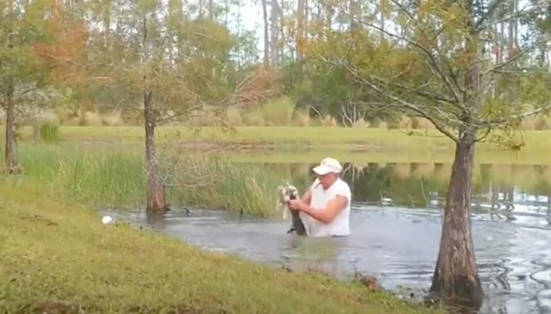 Локальные новости: Житель Флориды спас щенка от верной смерти, вырвав из пасти аллигатора