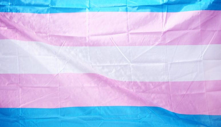 Политика: Пентагон объявил, что трансгендеры снова смогут служить в армии