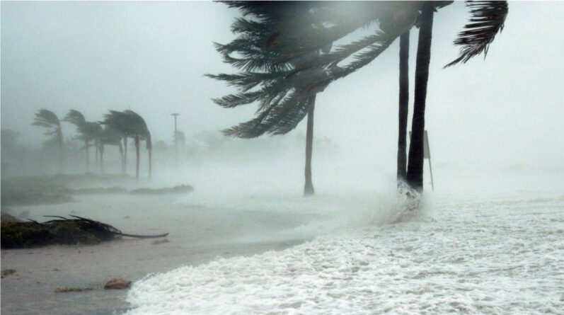 Погода: Берегов Флориды достиг новый тропический шторм