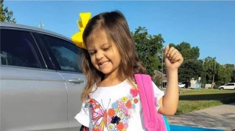 Общество: 4-летняя девочка в считанные часы умерла от COVID-19, заразившись от мамы-антивакцинатора