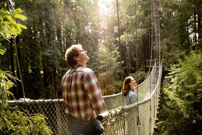 мужчина и женщина на подвесном мосту в лесу