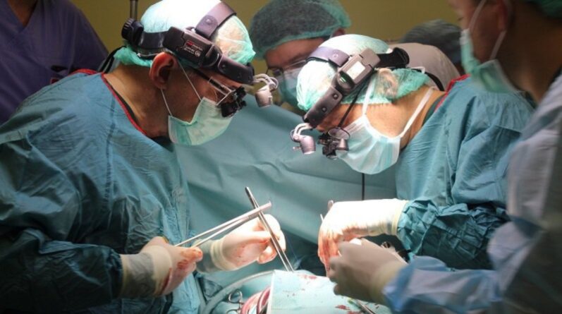 Локальные новости: Хирурги пересадили американцу свиное сердце и еще 4 новости, которые вы могли пропустить