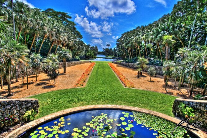 тропический ботанический сад во флориде