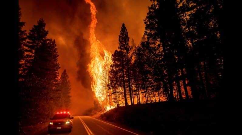 Локальные новости: В Калифорнии из-за жары разбушевался крупнейший лесной пожар