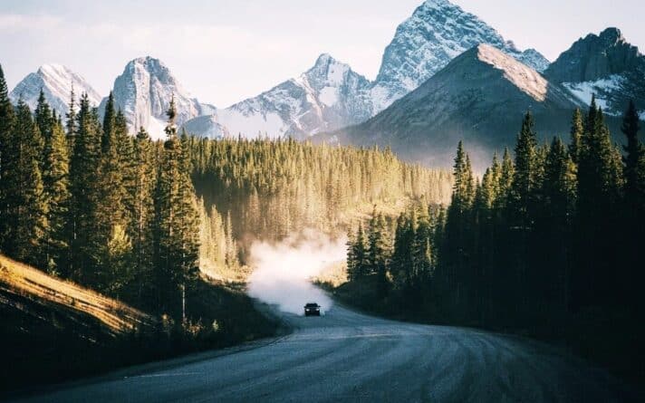 дорога на фоне гор и леса