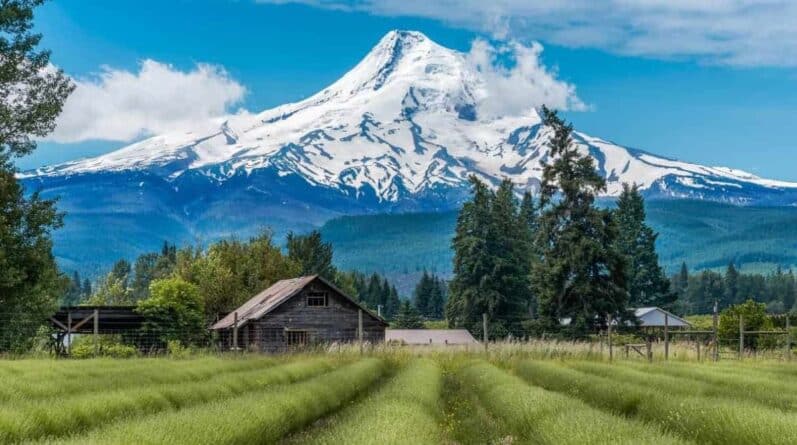 Путешествия: Штат Орегон: осмотр достопримечательностей